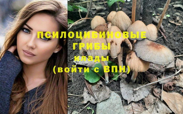 стаф Уссурийск