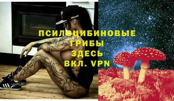 MESCALINE Арсеньев