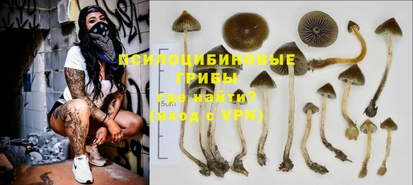 MESCALINE Арсеньев